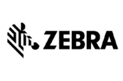 zebra zebra